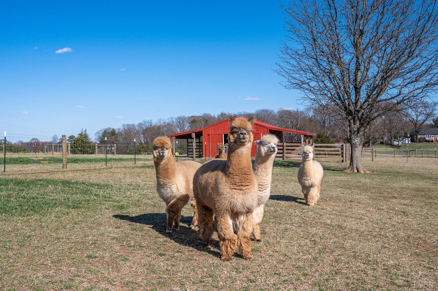 1025 Five Forks Road