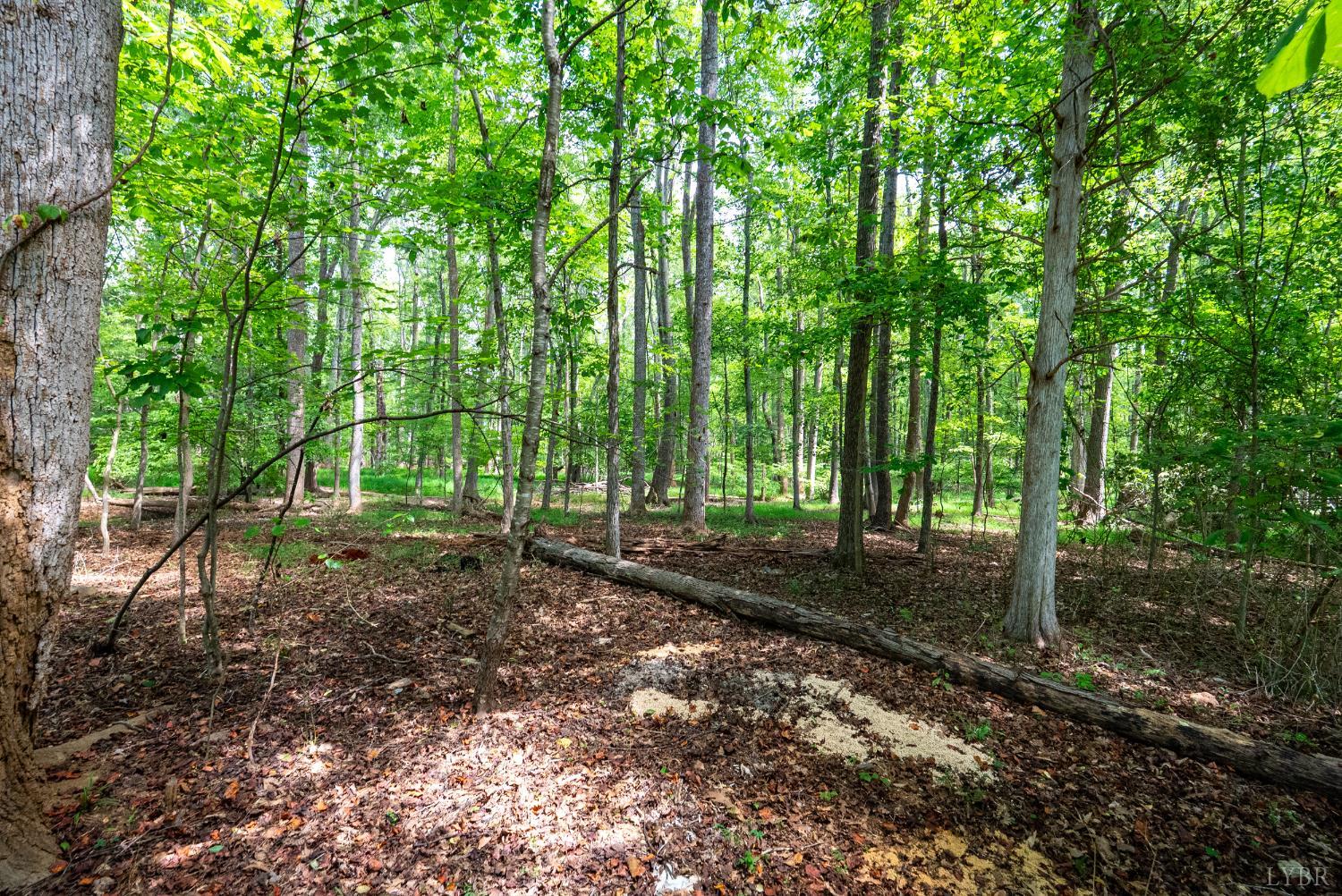 1004 Wildbriar Place