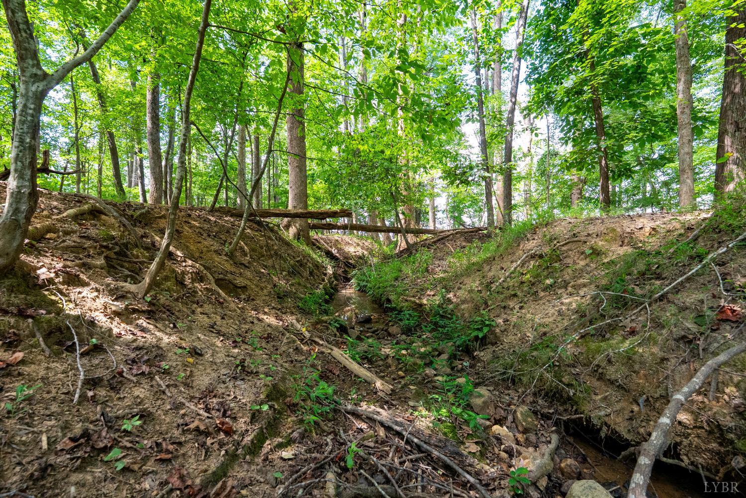 1004 Wildbriar Place