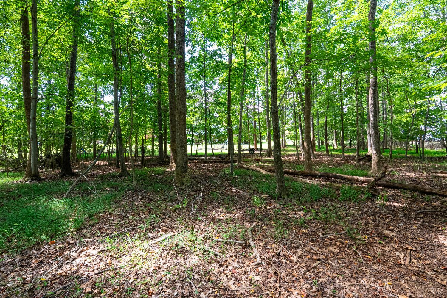 1004 Wildbriar Place