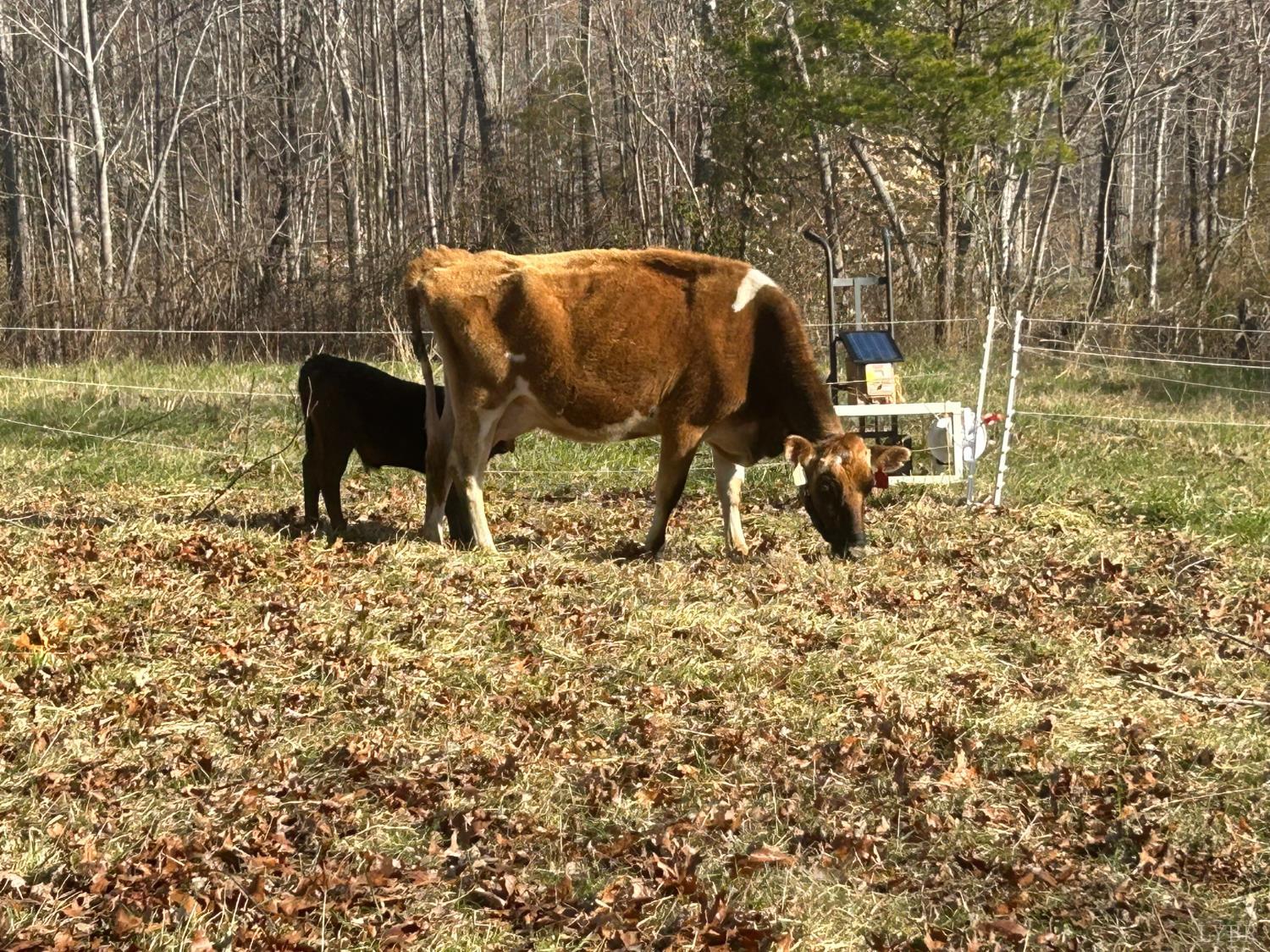 2389 New Chapel Road