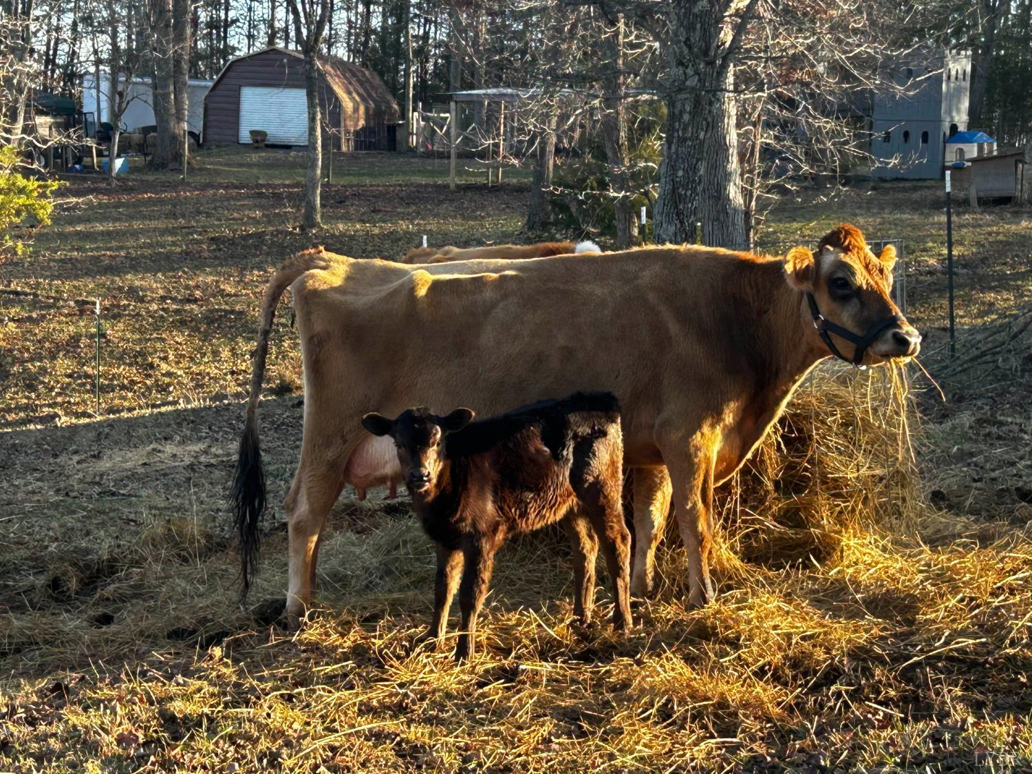 2389 New Chapel Road