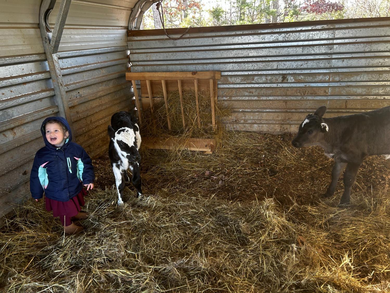 2389 New Chapel Road