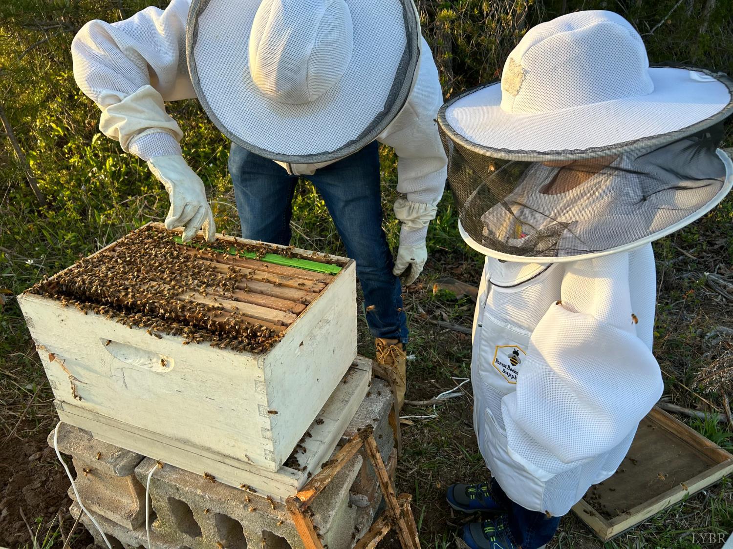 2389 New Chapel Road