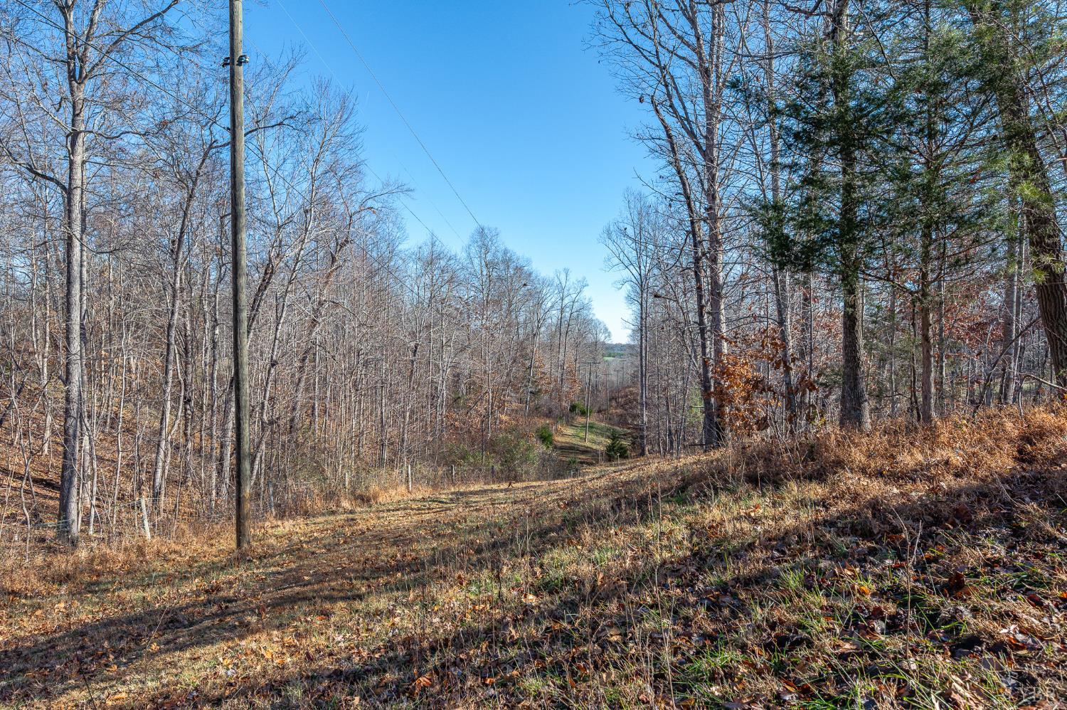 2389 New Chapel Road