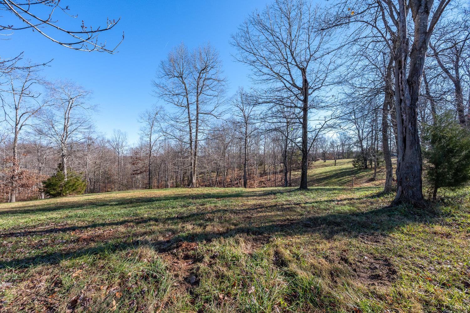 2389 New Chapel Road