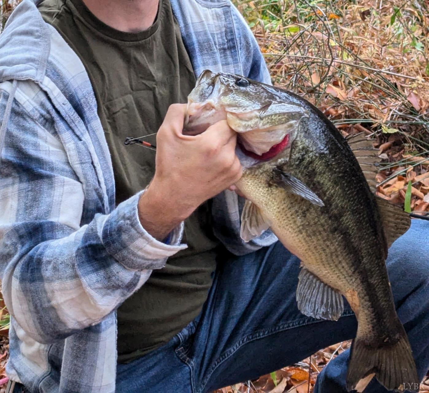 520 Old Trents Ferry Road