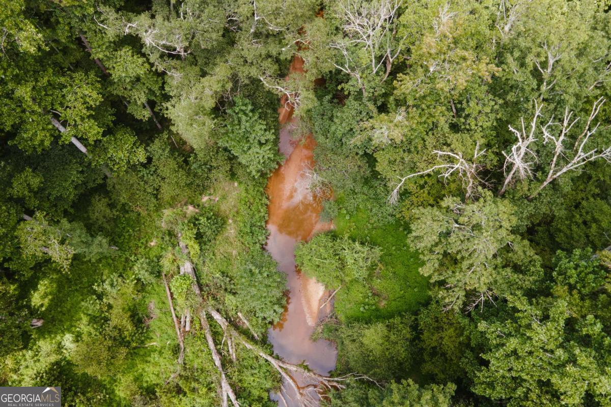 295 Blue Heron Drive, Athens