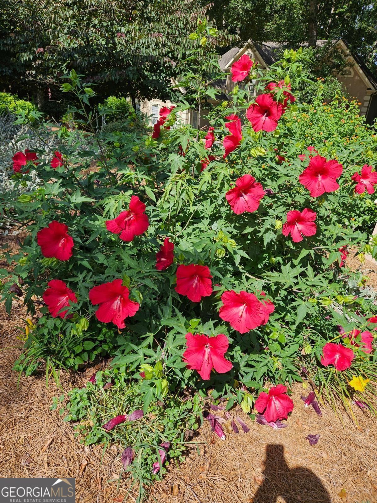 295 Blue Heron Drive, Athens