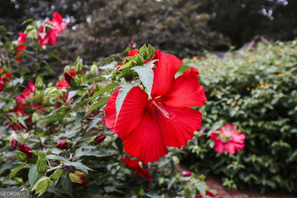 295 Blue Heron Drive, Athens