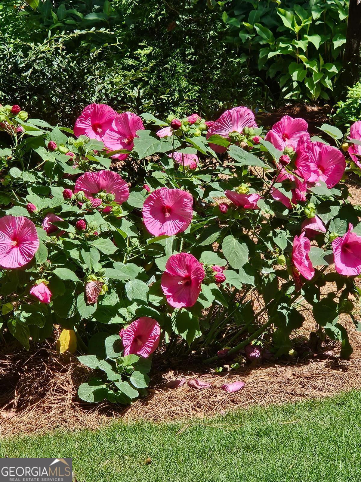 295 Blue Heron Drive, Athens