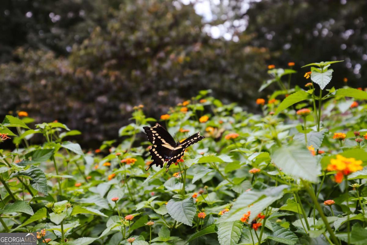 295 Blue Heron Drive, Athens