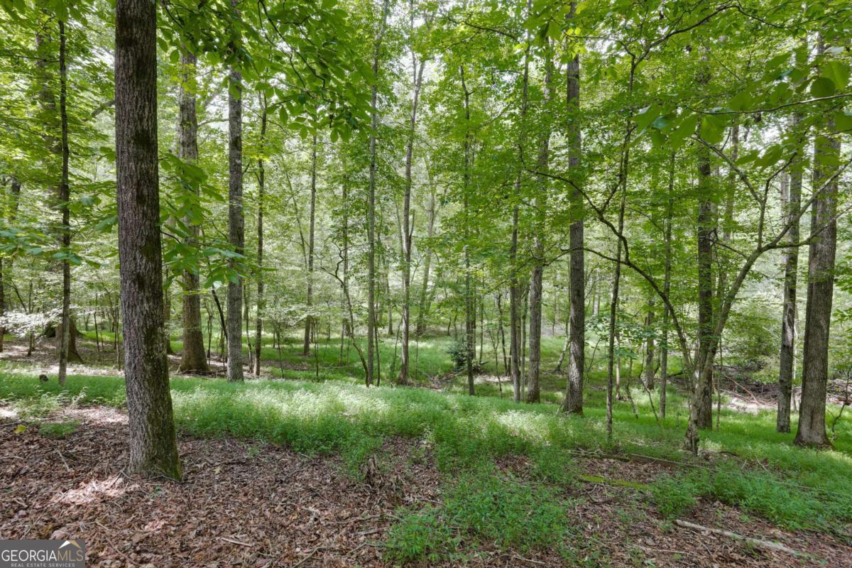 295 Blue Heron Drive, Athens