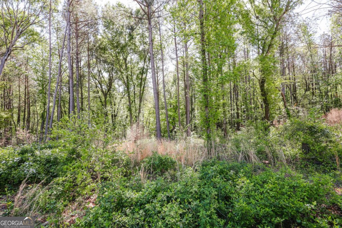 773 Shoal Creek Road