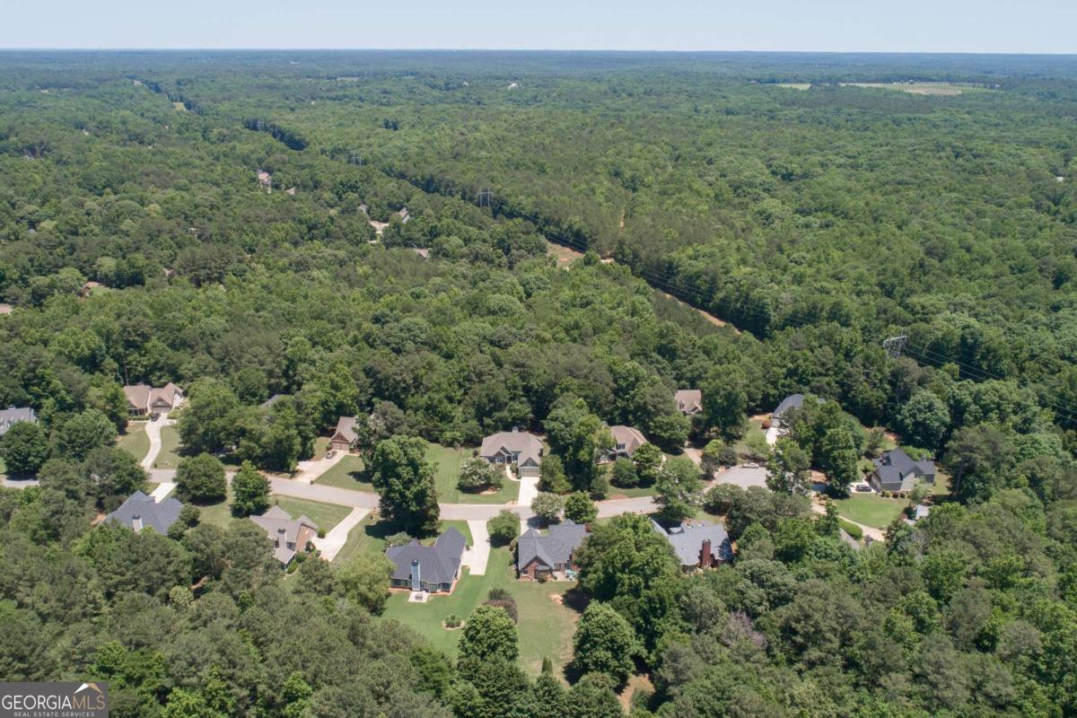217 Hidden Spring Way