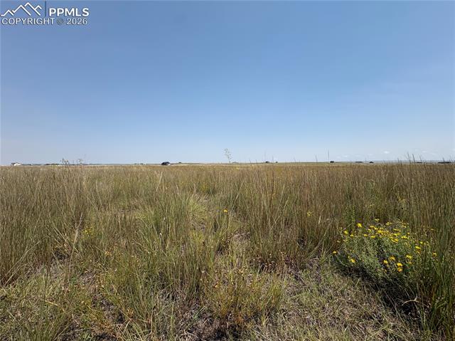 8155 Cowboy Ranch View