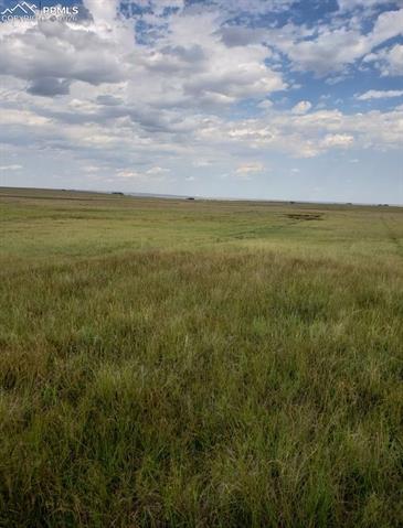 8155 Cowboy Ranch View