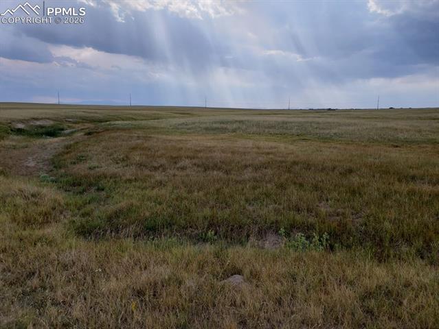 8155 Cowboy Ranch View