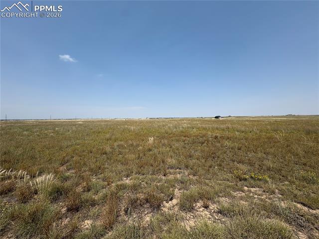 8155 Cowboy Ranch View