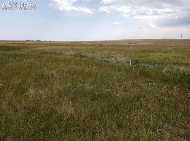 8155 Cowboy Ranch View