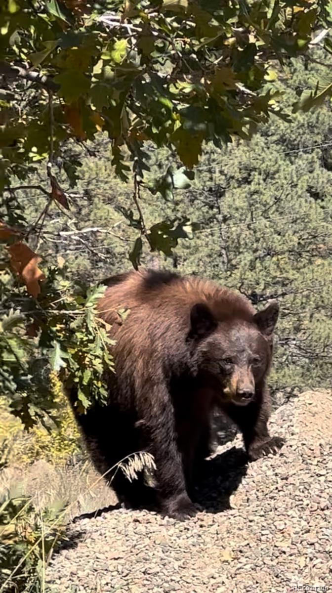 Rancho Escondido Lot 23C