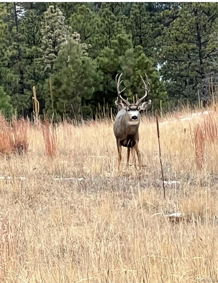 Rancho Escondido Lot 23C