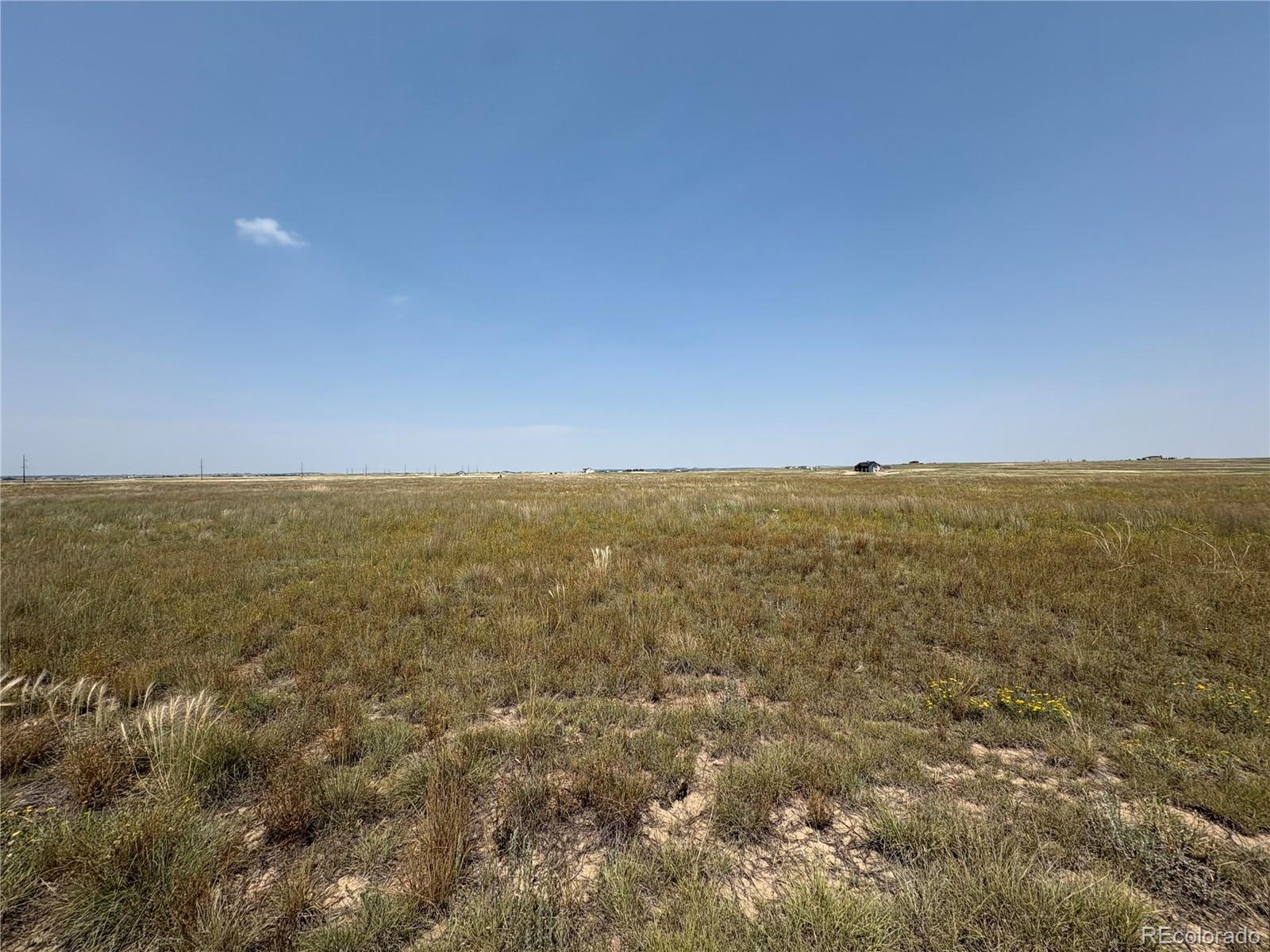 8155 Cowboy Ranch View