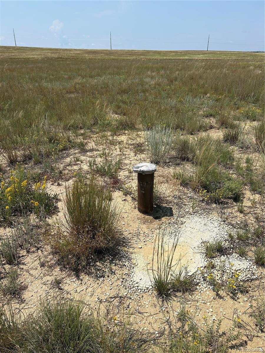 8155 Cowboy Ranch View