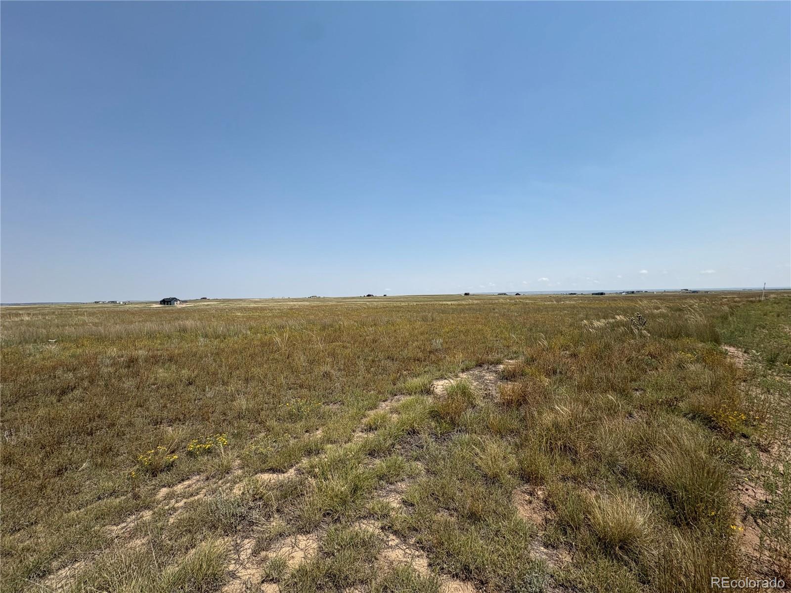 8155 Cowboy Ranch View