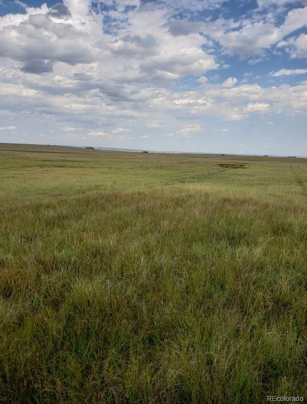 8155 Cowboy Ranch View