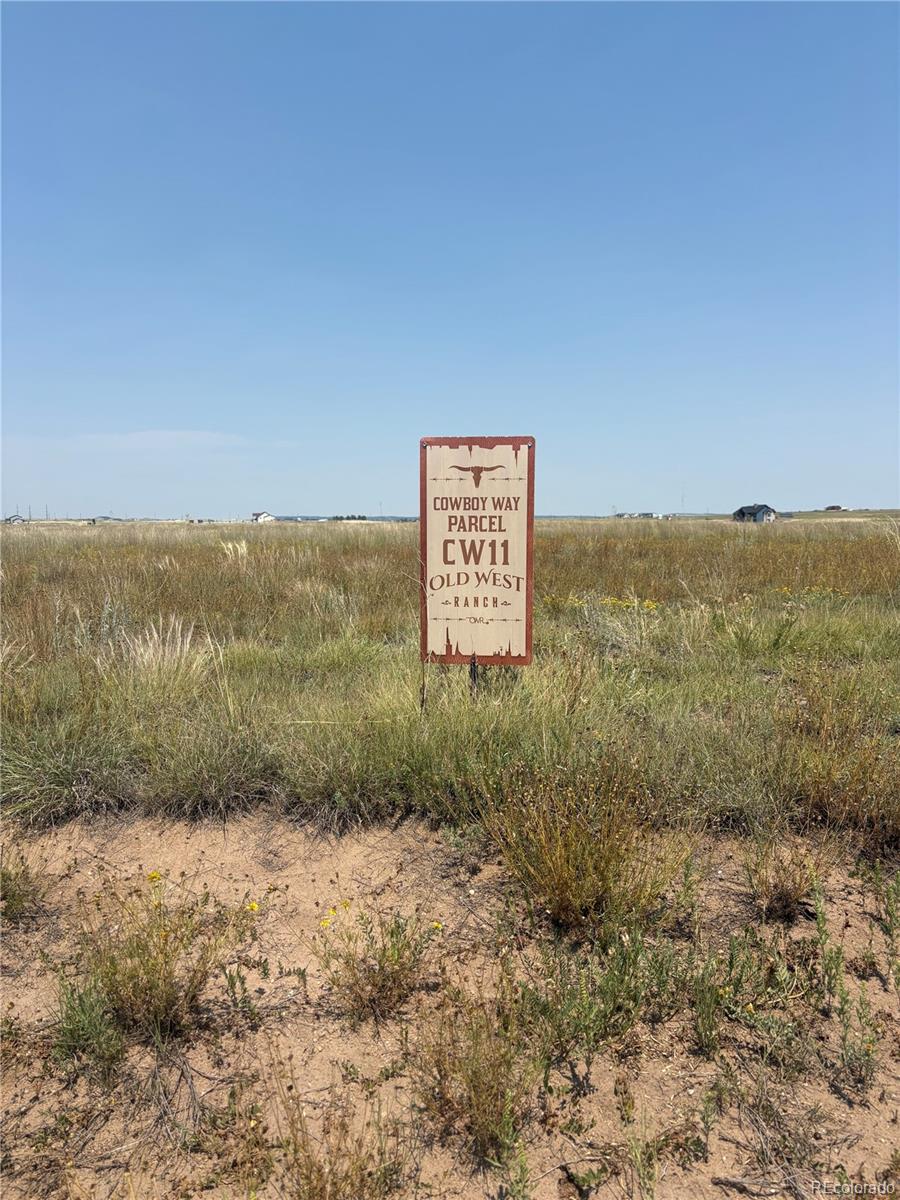 8155 Cowboy Ranch View