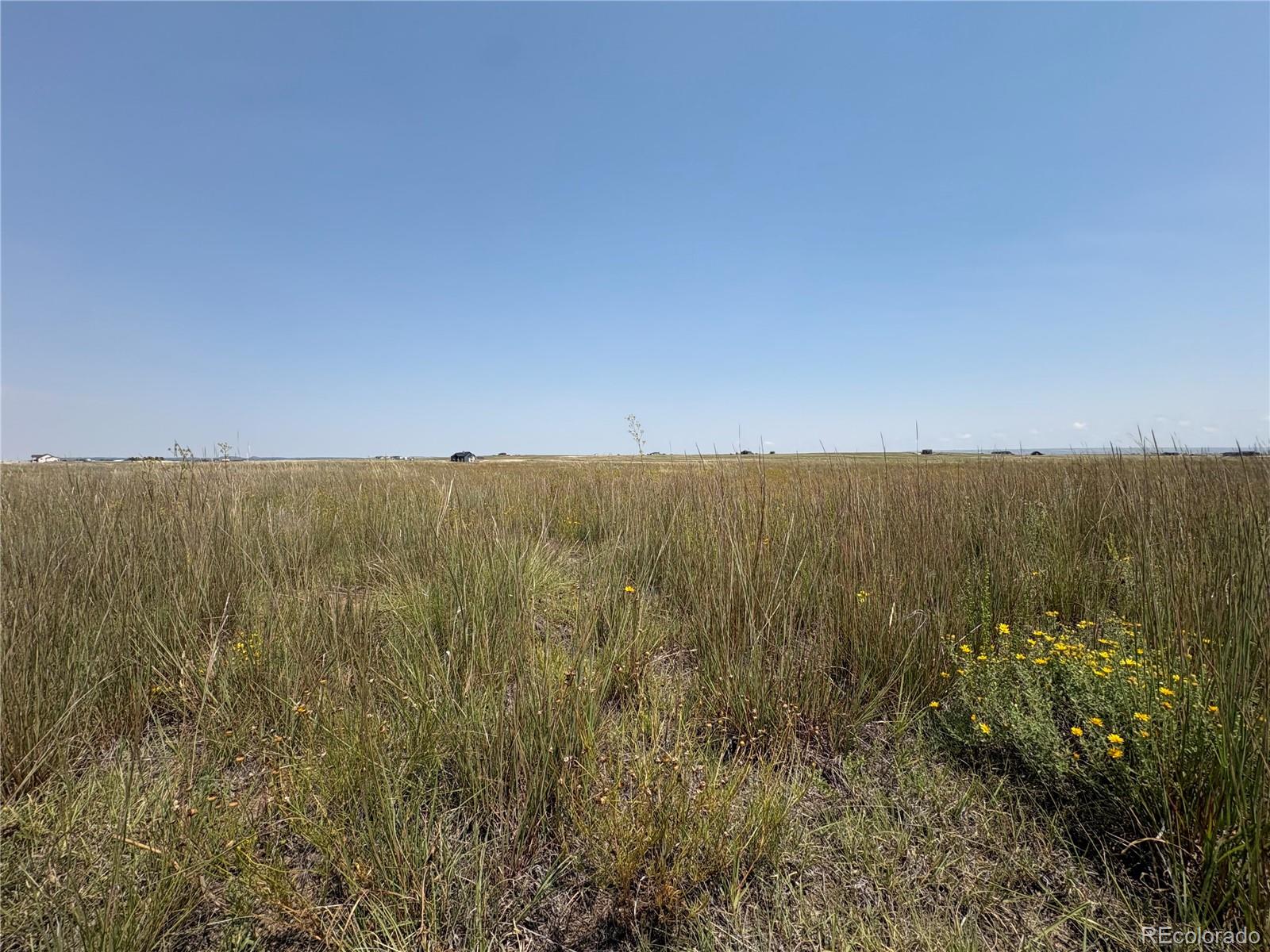 8155 Cowboy Ranch View