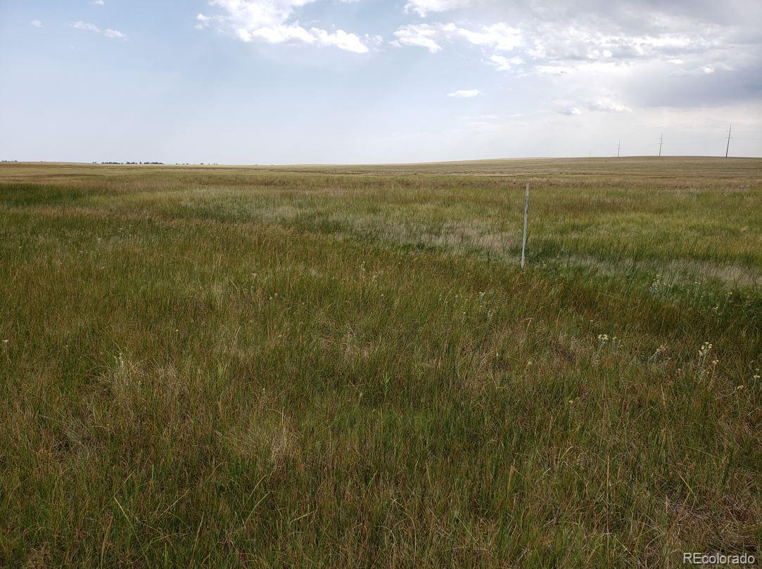 8155 Cowboy Ranch View