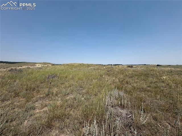 16505 Warriors Path Drive