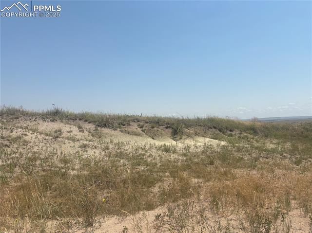 16505 Warriors Path Drive