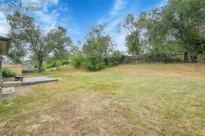239 Tanna Court