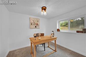 239 Tanna Court