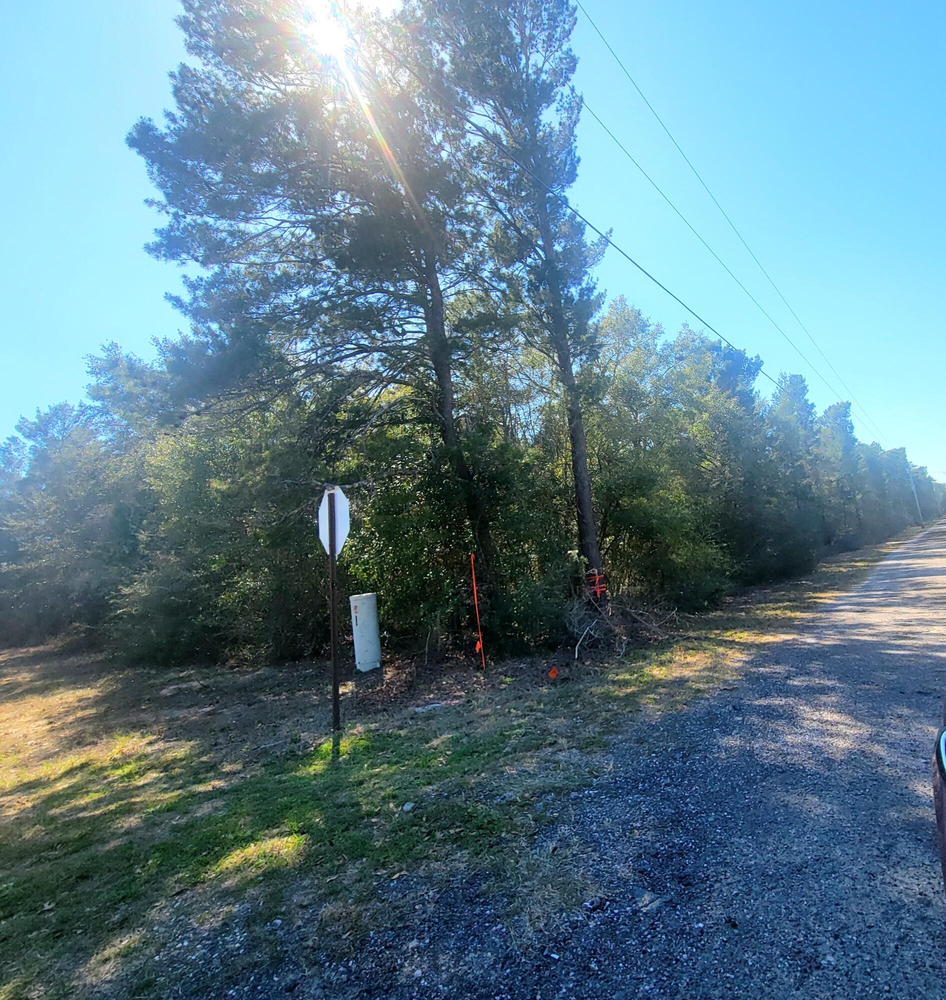 9.79 acres Co Highway 1087, DeFuniak Springs