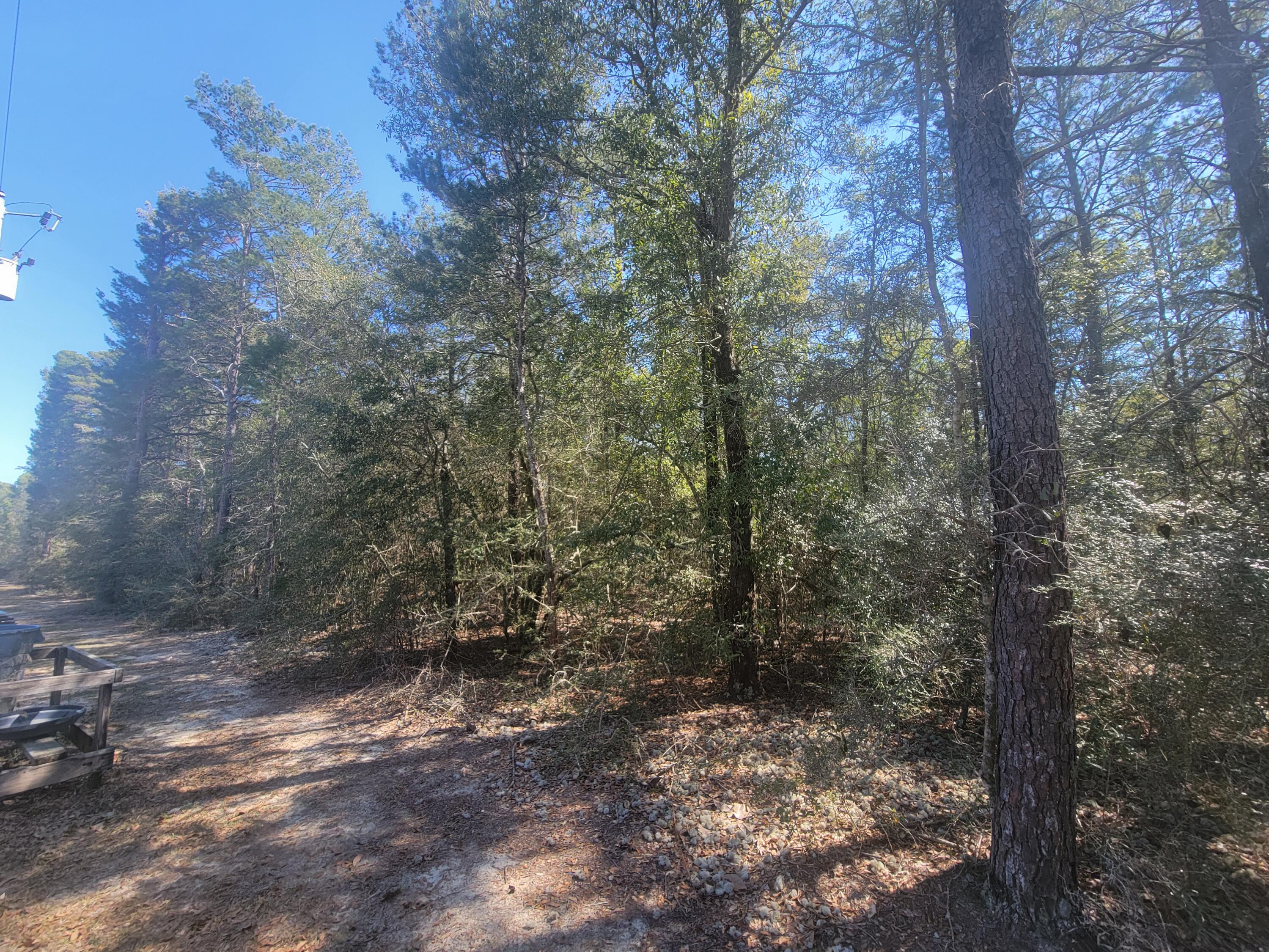 9.79 acres Co Highway 1087, DeFuniak Springs
