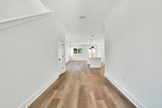 4262 Ida Coon Circle