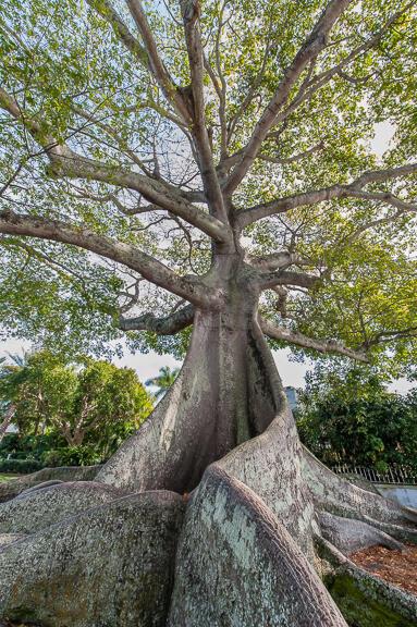 6101 Old Court 240 Road 240