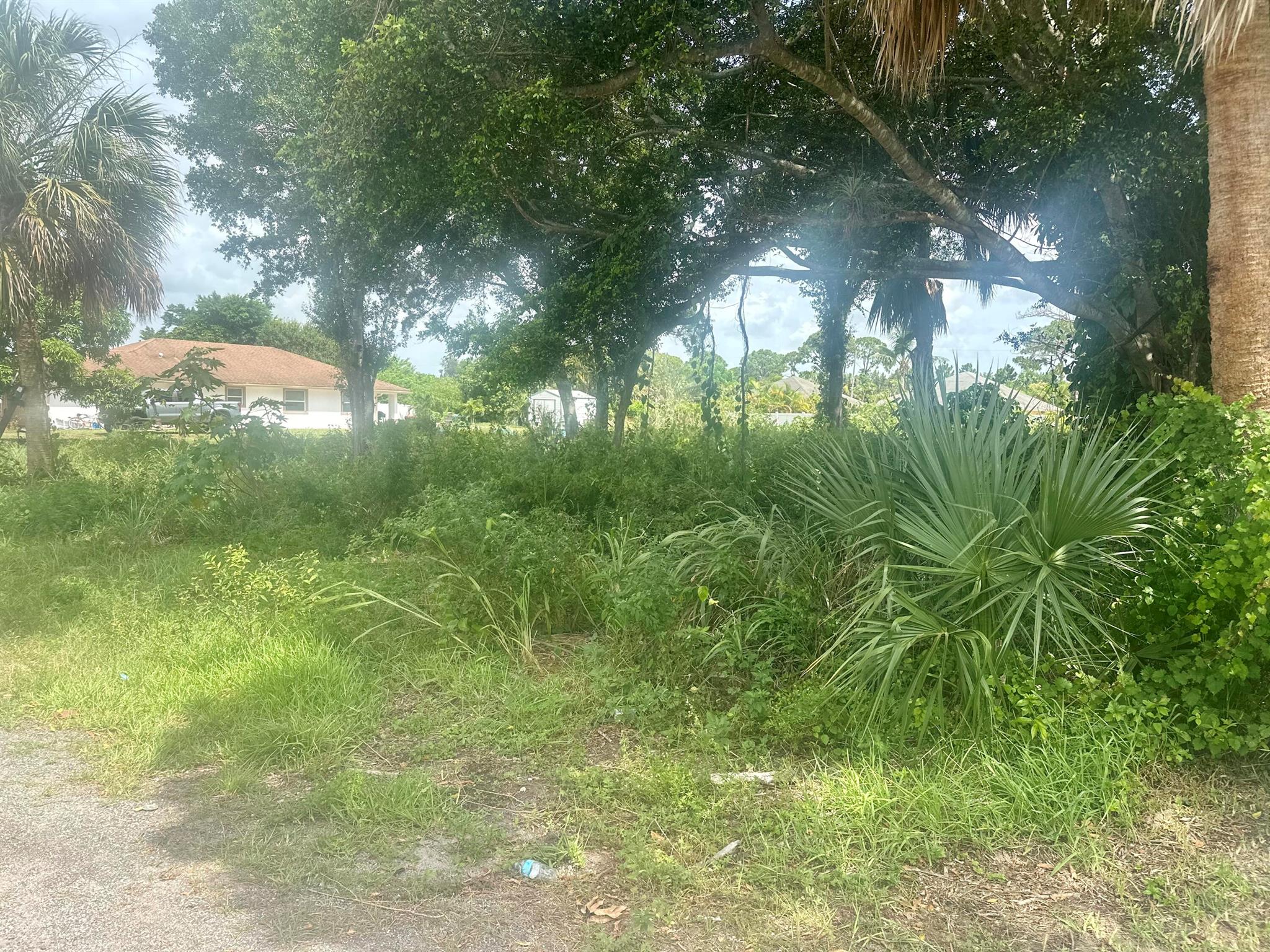000 Palm Garden Street