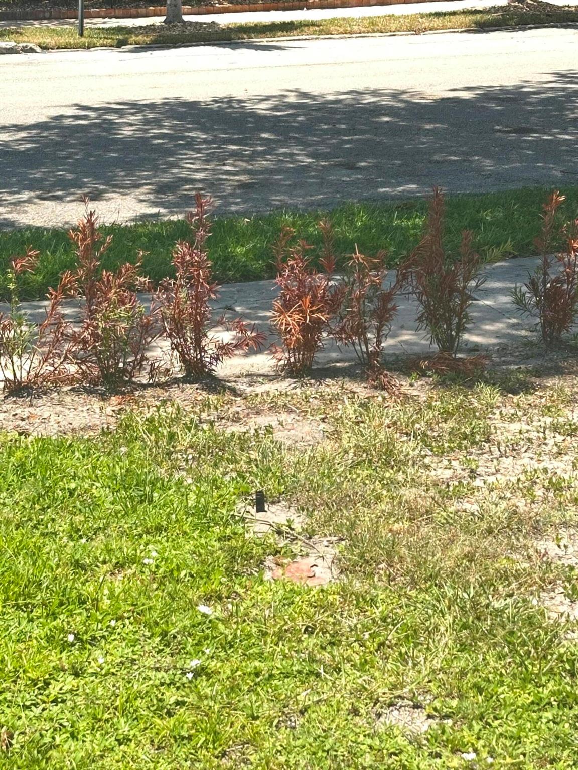 000 Palm Garden Street