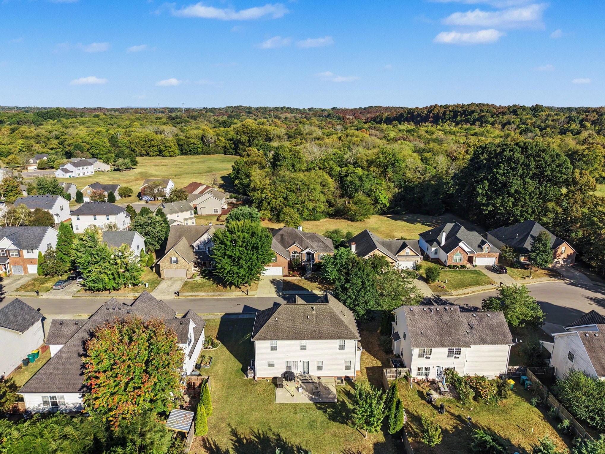 Aerial view of homes bordering a wooded area and open field.