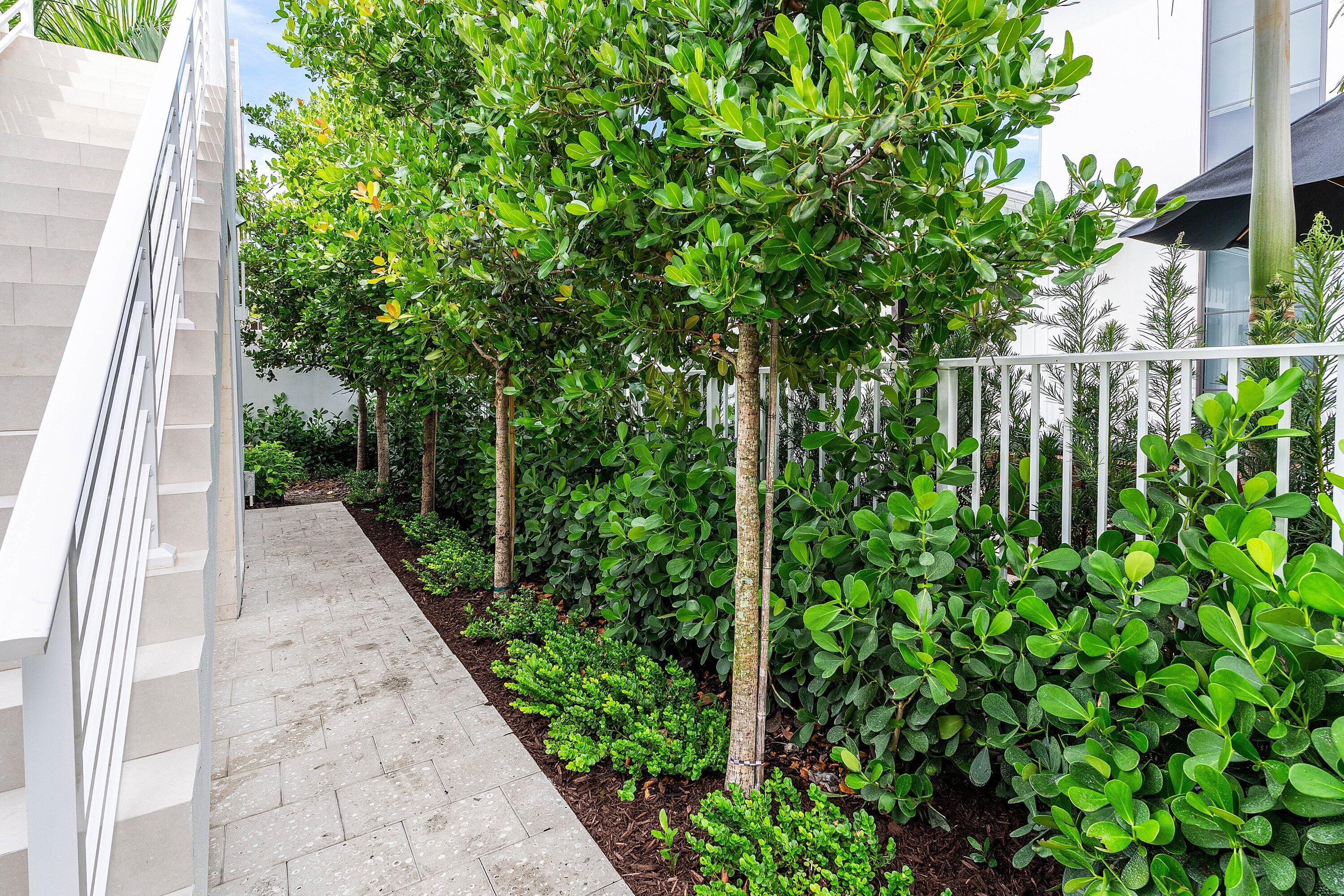 812 Palm Trail