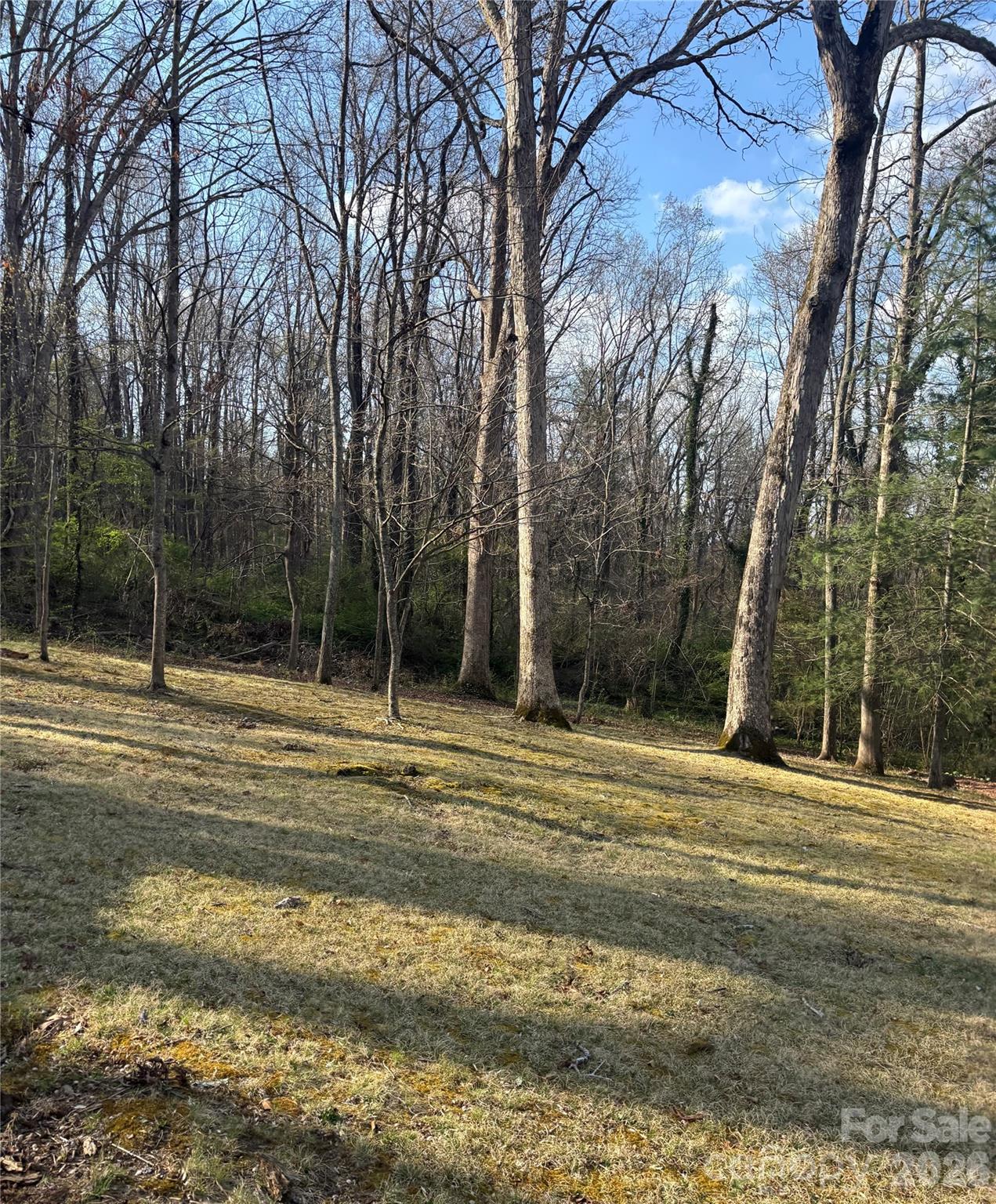 67 Shawnee Trail