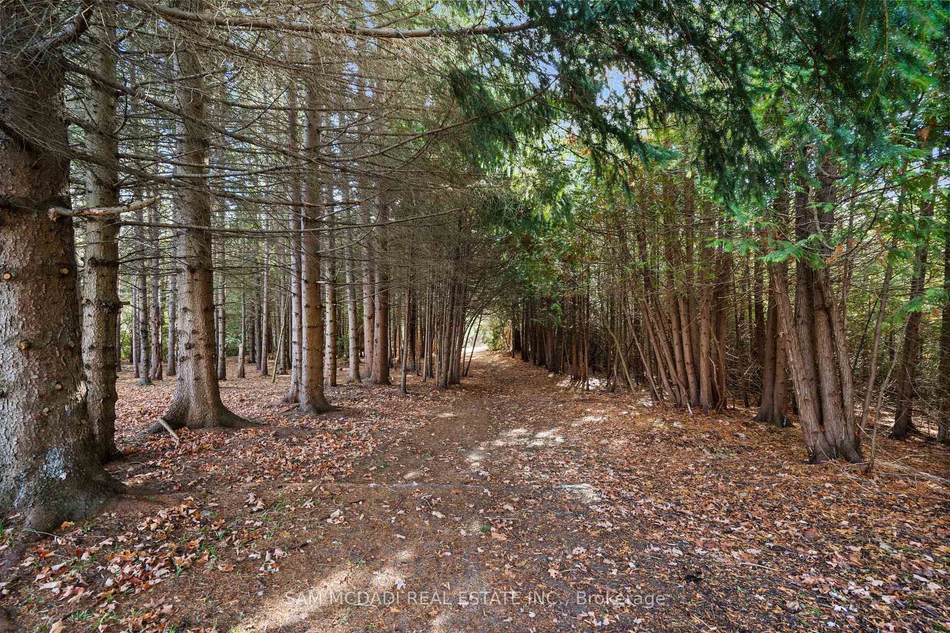 2993 Innisfil Beach Road