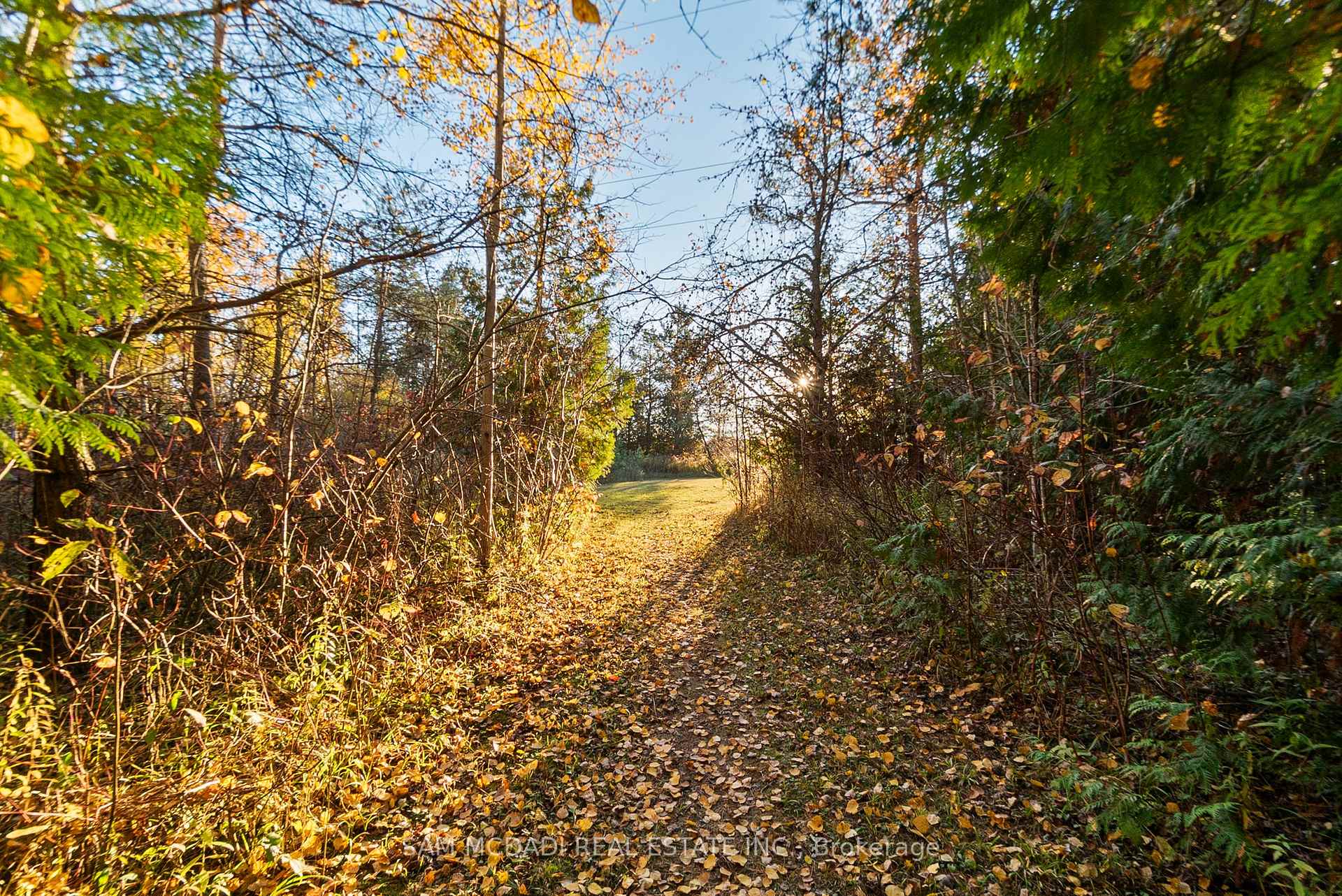 2993 Innisfil Beach Road