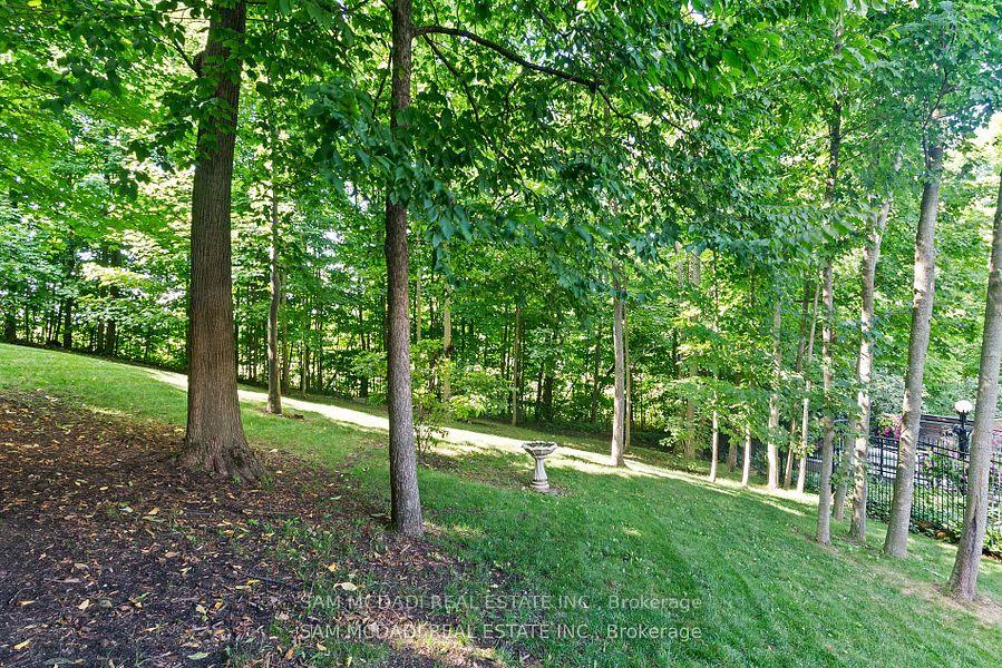 10140 Pineview Trail