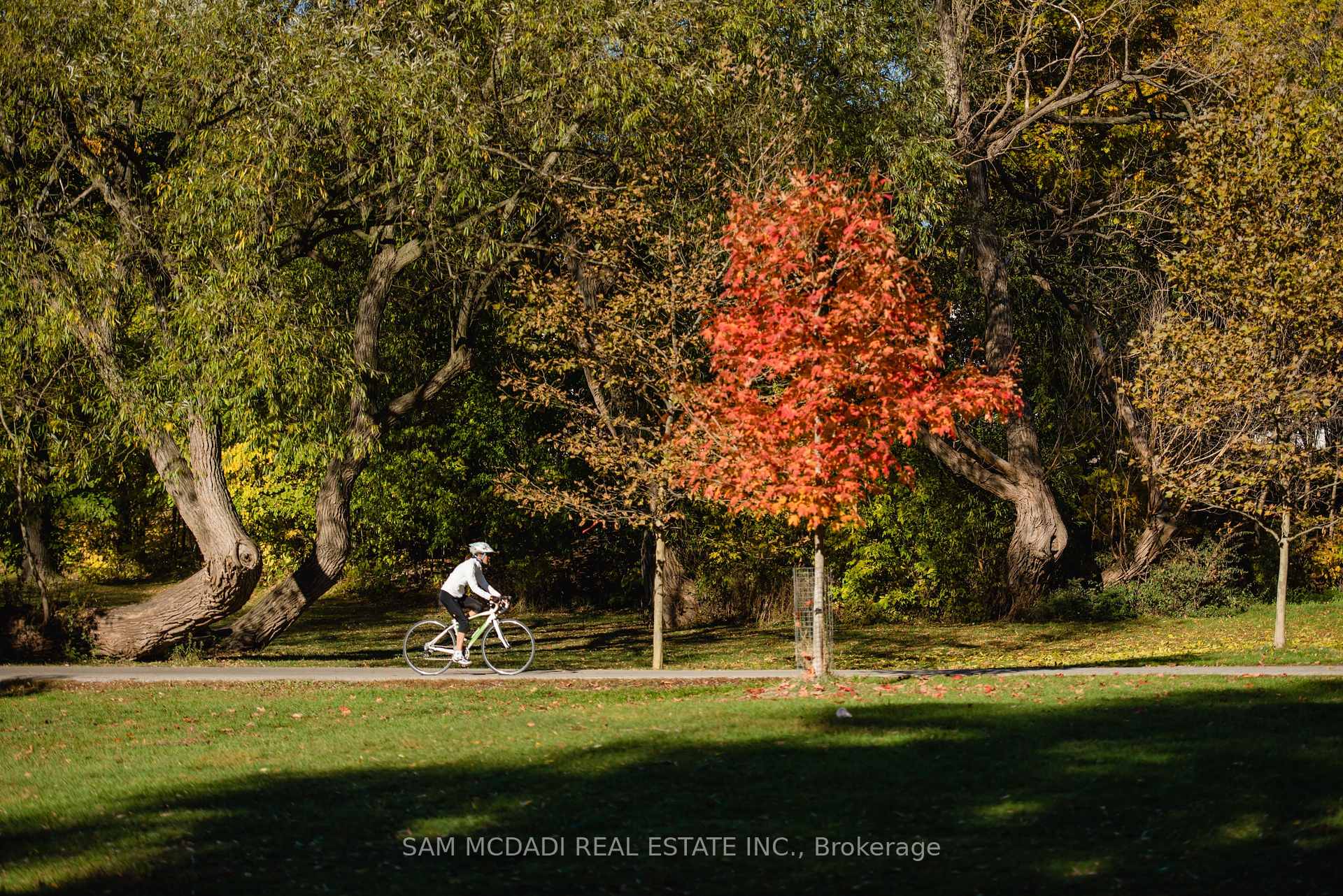 1381 Lakeshore Road E C2